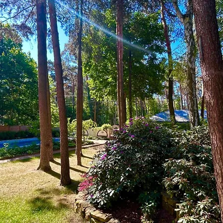 With Outdoor Pool Warsaw *